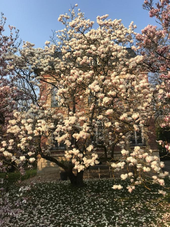 L'atelier Des Magnolias Bed & Breakfast