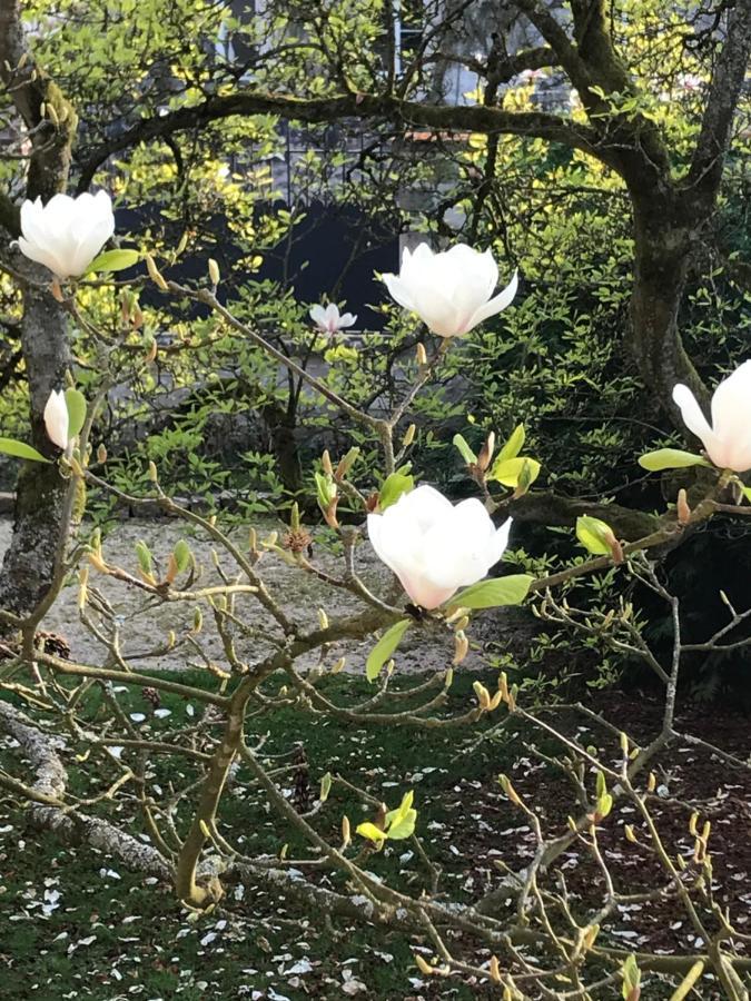 L'atelier Des Magnolias Couette-café