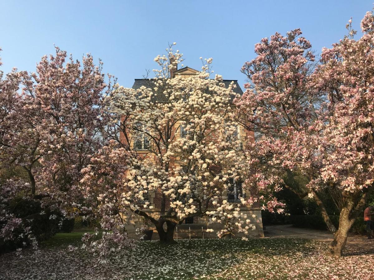 L'atelier Des Magnolias Aumont-en-Halatte